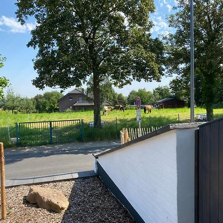 Grosszuegige Premium-Ferienwohnung Bb43 In Der Eifel - 70Qm Top-Ausstattung & Natur Pur Düren - Eifel Exteriör bild